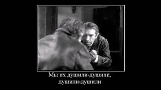 вчера котов душили душили