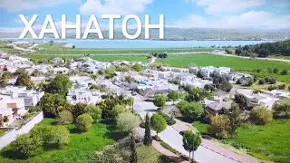 Ханатон/ Винодельня Jezreel/ Самая умная лошадь