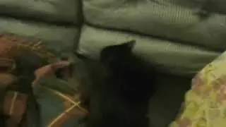 Judal's favorite pass-time.