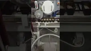 Тестоделитель лопастной ТДЛ-2, производство СЭМЗ