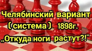 17)Лекция. Челябинский вариант (система) 1898г. Сицилианская защита.  ,,Откуда ноги растут ?!