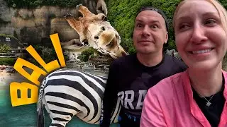 БАЛИ с отелем. Где жирафы Либовски?