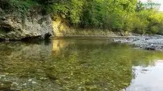 река жизни