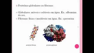 Proteínas globulares e fibrosas
