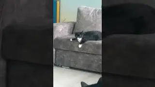 Внезапные мысли? Или их отсутствие?