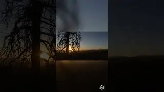 Chasing Sunsets  A Visual Journey You Can't Miss!