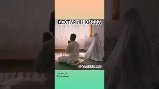Бехтарин Киса ва Саргузашт