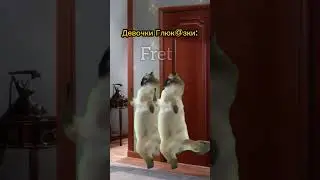 Продолжение мы узнаем завтра!😂