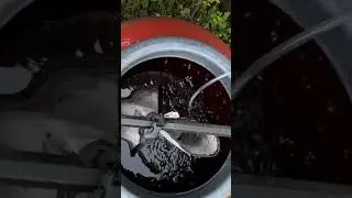 Making Compost Extract for the Food Forest