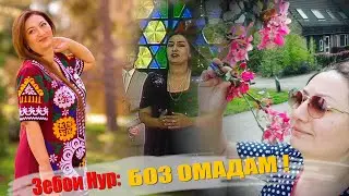 Барномаи 