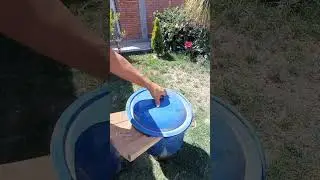 Bending wood 
