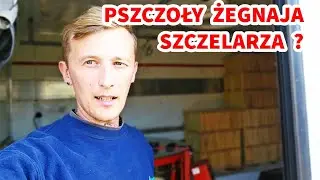 PSZCZOŁY ŻEGNAJA PSZCZELARZA ? #pszczoly #pasieka #mity