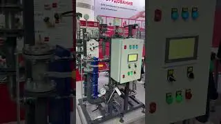8 февраля 2024 г.