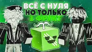 🍇ВСЁ С НУЛЯ НО С ОДНИМ ФРУКТОМ В БЛОКС ФРУТС / BLOX FRUIT