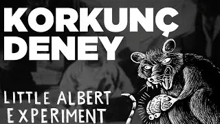 Korkunç Deney | Little Albert Experiment (Klasik Koşullanma)