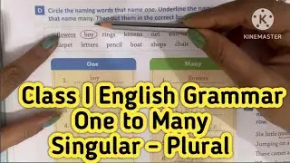 Class I One and Many || Singular Plural ||English Class-I Final Term Grammar Syllabus #englishgramma