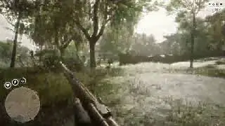 RDR2 online(свободный режим)