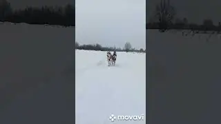 когда не куда спешить...