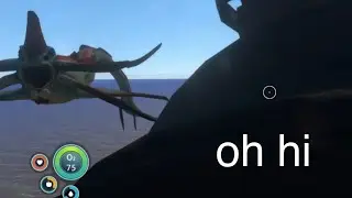 My first Reaper Leviathan - (the Subnautica experience)