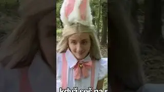Uděláme koncert, kde uvidite AINKU naživo??