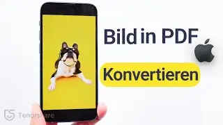 Wie lassen sich Fotos in PDFs konvertieren
