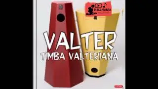 EL NIÑO - VALTER Y SU TIMBA VALTERIANA (AUDIOHQ)*** 2006 EP