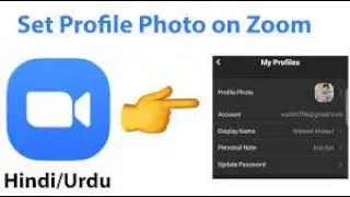 How to set a zoom profile picture ?