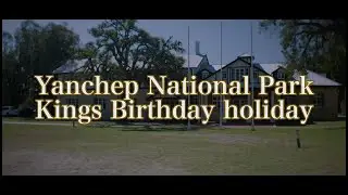 Kangaroo walk at Yanchep National Park on the King’s birthday. Shot on Blazar Remus anamorphic lens
