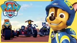 Chase Stops the Ruff-Ruff Pack and MORE | PAW Patrol | Cartoons for Kids