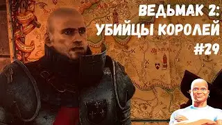 РАБОТЫ НА МИСТЕРА ПРОПЕРА! (Прохождение Ведьмак 2: Убийцы королей #29)
