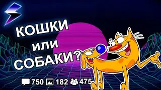 [ДВАЧ] КОШКИ ИЛИ СОБАКИ?