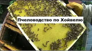 Пчеловодство по Бернарду Хойвелю.  Получение майского мёда