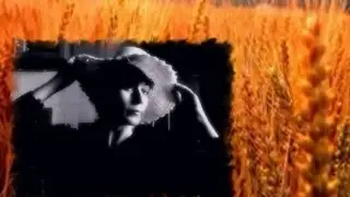 Жито. Иван Купала