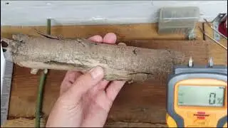 Brennenstuhl Moisture Detector Review + User Guide