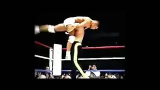 Rickson Gracie Air Sweep - Vale Tudo 1995 Japan - 