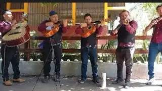 Mix Se fue mi amor bonito & Conjunto nuevo Renacer  