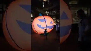 Haydarpasha Palace Hotel / Alanya / Antalya..."Hollowen Party "⭐⭐⭐⭐⭐  #antalya  #halloween
