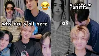 Enhypen really won't let each other live in peace *lately*