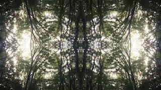 Helios - Seeming