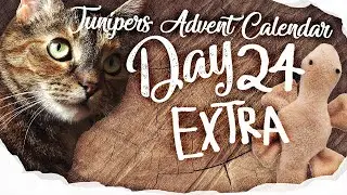 Junipers advent calendar day 24 Extra 📆
