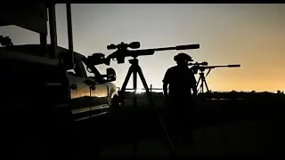 22 Coyotes with the iRay TX60C