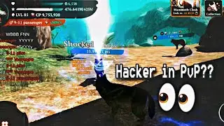 Hackers are still present in PvP?😕 || The Wolf