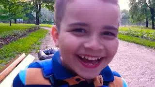 Жизнь Моя- Прогулка! вечер ! / парк / дворцовый  / Гатчина