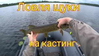 Ловля щуки и окуня на спинниг в июле