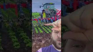 Chemical-free weed control! #farmtraveler #farmmachinery #shorts