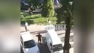 #Тезкор