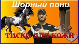 Шорный пони или деревянные тиски для кожи
