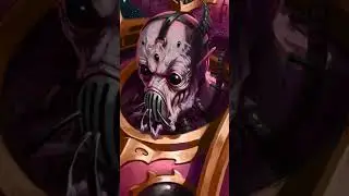 40k shoresy 