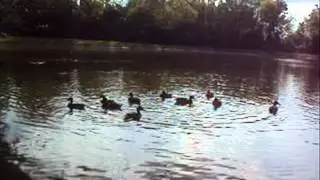 How...do you?