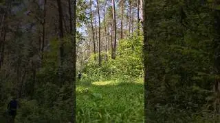 Тренировка  без фанатизма?
